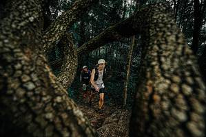 BIB: 
                            <button type="button" onclick="openModal(25675144)" class="btn btn-primary btn-sm float-right btn-popup" data-toggle="modal" data-target=".modal-high-quality">
                        <i class="fas fa-shopping-cart"></i> Add to Cart
                    </button>
                                            <button type="button" onclick="isThisMe(25675144, true)" class="btn btn-success btn-sm float-right btn-popup btn-isme hidden" data-toggle="tooltip" data-placement="bottom" title="นี่คือรูปของคุณใช่ไหม คลิกที่นี่เพื่อเอาเข้าอัลบั้ม">
                        <i class="fas fa-plus"></i> Add to album
                    </button>
                    <button type="button" onclick="isThisMe(25675144, false)" class="btn btn-warning btn-sm float-right btn-popup btn-isnotme hidden">
                        <i class="fas fa-ban"></i> Remove from album
                    </button>